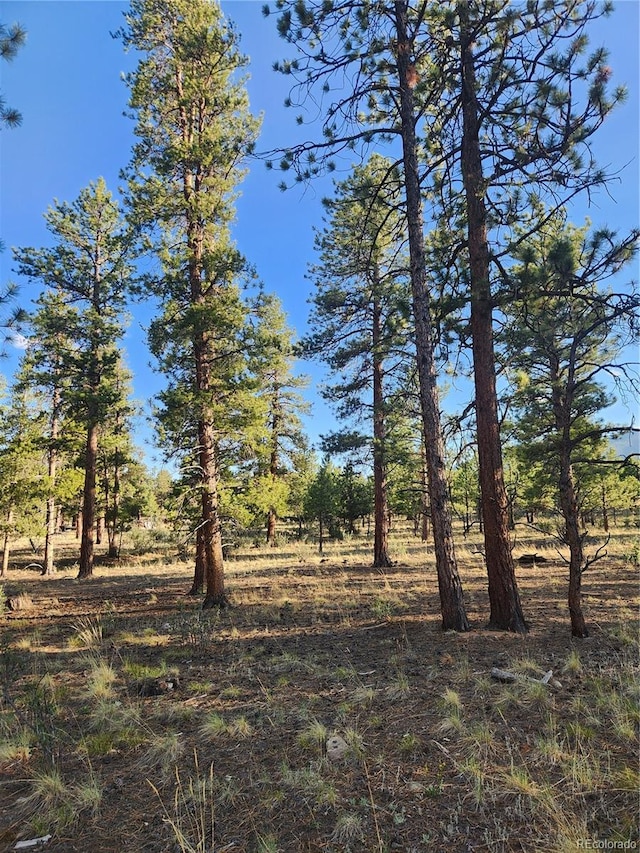 30664 Gray Jay Draw, Buena Vista, CO 81211