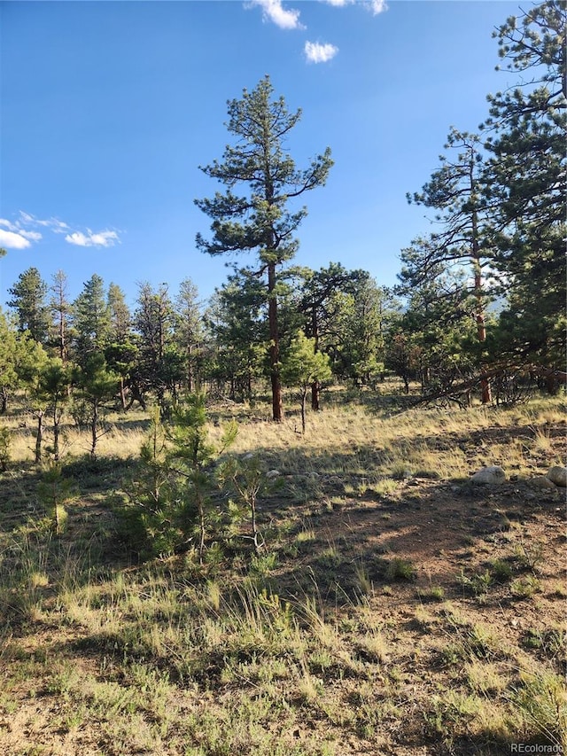 30664 Gray Jay Draw, Buena Vista, CO 81211