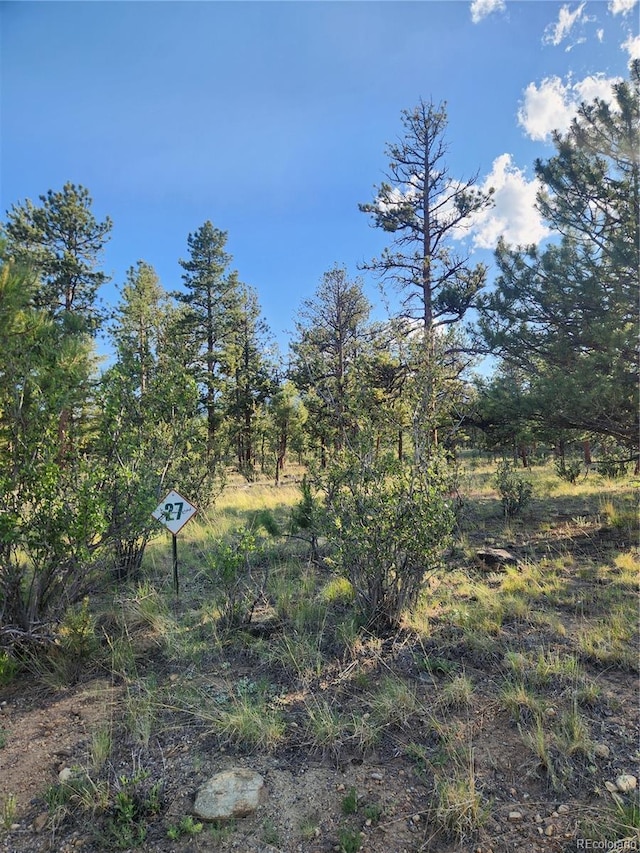 30664 Gray Jay Draw, Buena Vista, CO 81211