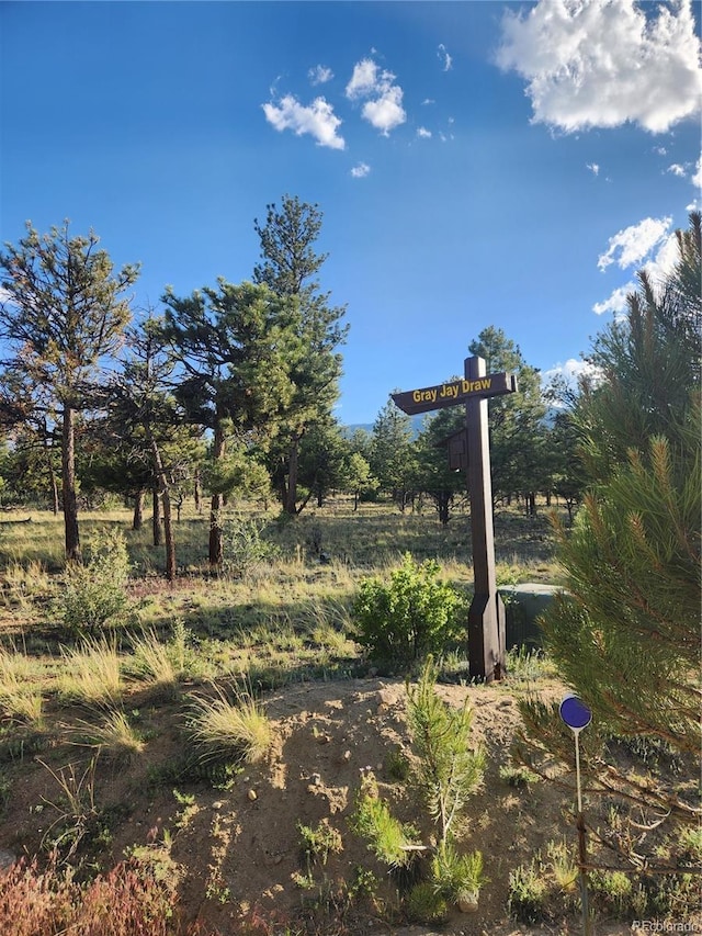 30664 Gray Jay Draw, Buena Vista, CO 81211