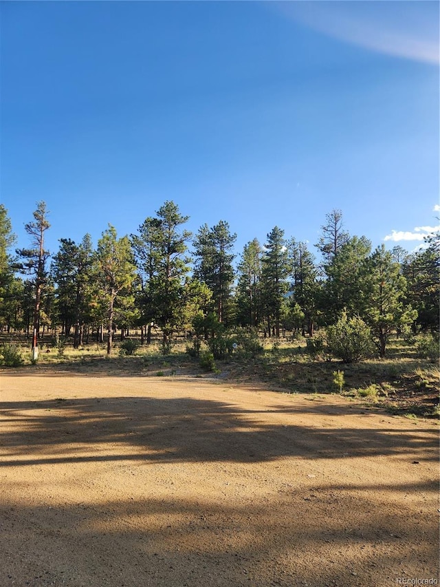 30664 Gray Jay Draw, Buena Vista, CO 81211