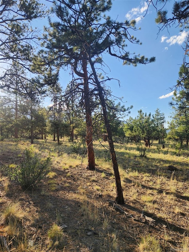 30664 Gray Jay Draw, Buena Vista, CO 81211