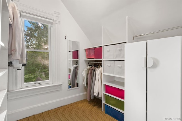 848 S Emerson St, Denver, CO 80209 - view of closet