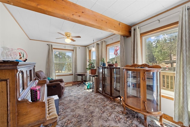 181 County Road 370, Rye, CO 81069 - photo 13
