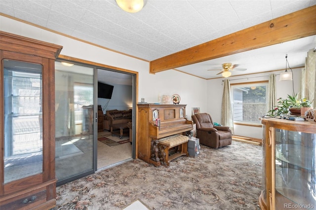 181 County Road 370, Rye, CO 81069 - photo 14