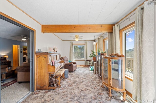 181 County Road 370, Rye, CO 81069 - photo 15