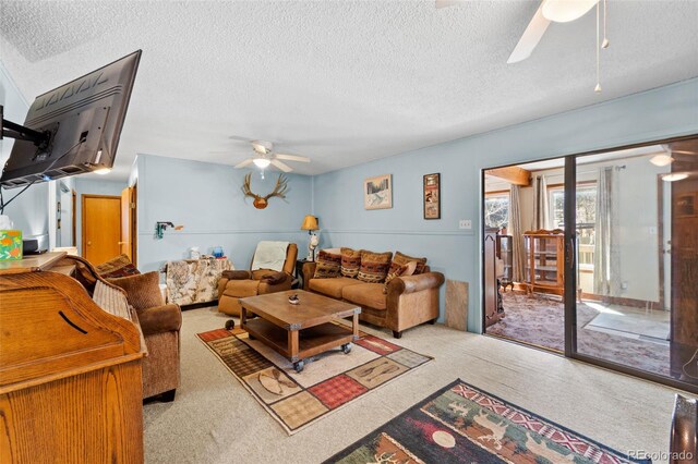 181 County Road 370, Rye, CO 81069 - photo 30