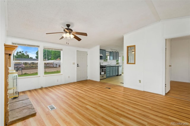 4813 Hot Springs Dr, Greeley, CO 80634 - photo 5