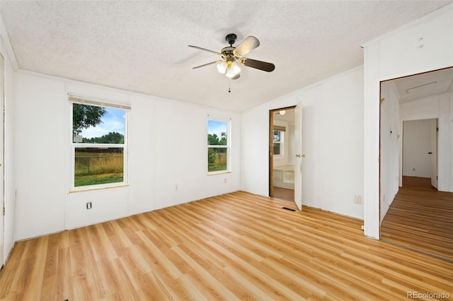 4813 Hot Springs Dr, Greeley, CO 80634 - photo 6