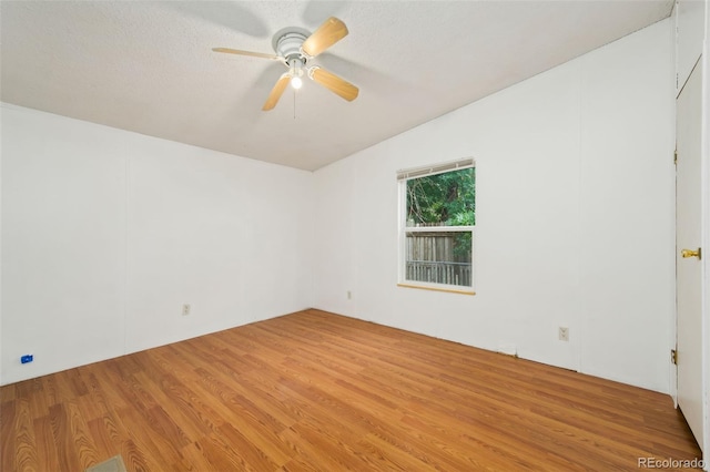 4813 Hot Springs Dr, Greeley, CO 80634 - photo 8
