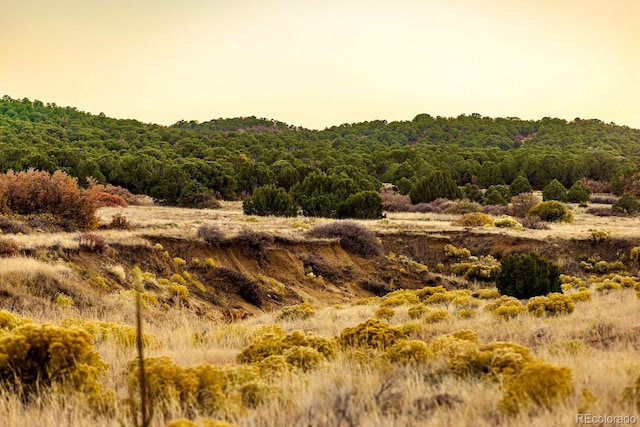 Listing photo 2 for County Road 521, Walsenburg CO 81089