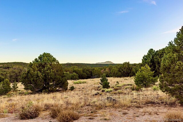 County Road 521, Walsenburg, CO 81089
