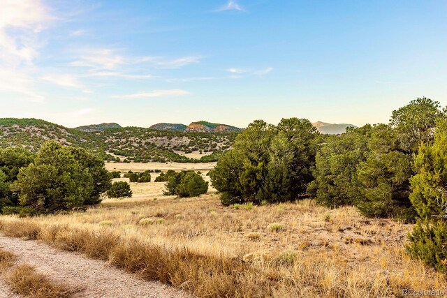 County Road 521, Walsenburg, CO 81089