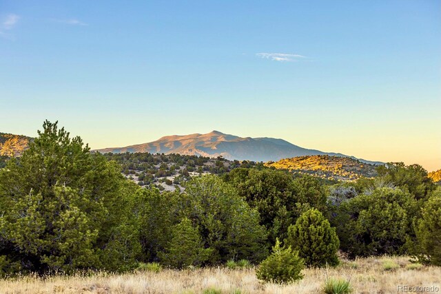 County Road 521, Walsenburg, CO 81089