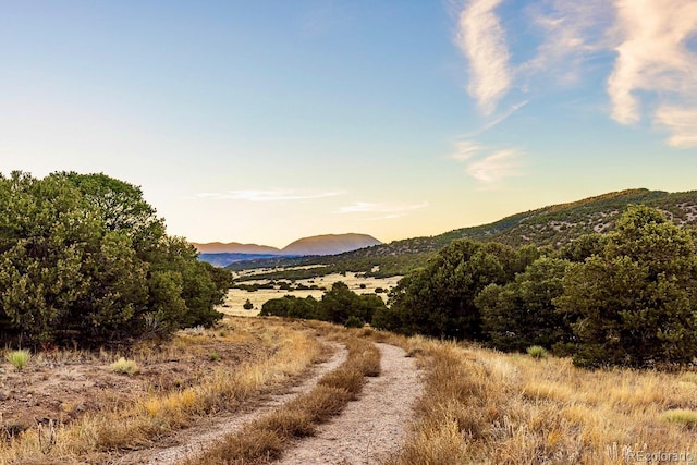 County Road 521, Walsenburg, CO 81089