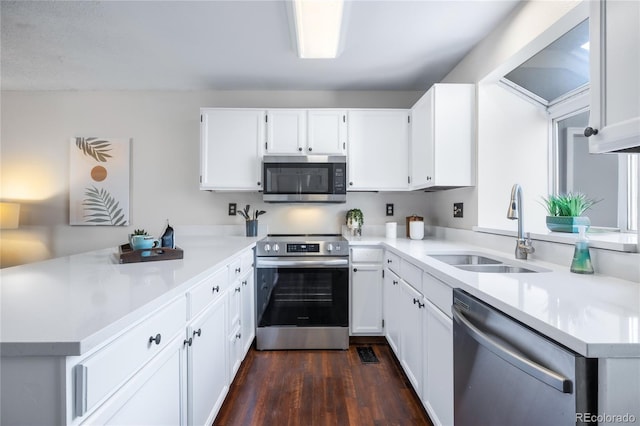 kitchen featuring a sink, a peninsula, stainless steel appliances, and white cabinetry
