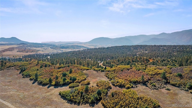 drone / aerial view featuring a forest view and a mountain view