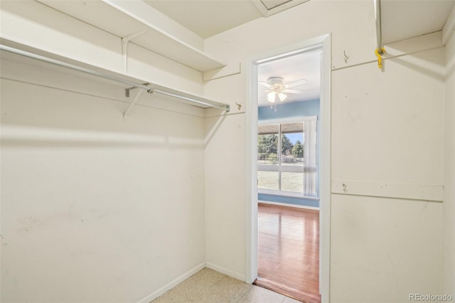 view of spacious closet