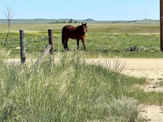 21457 Spencer Rd, Calhan, CO 80808 - photo 18