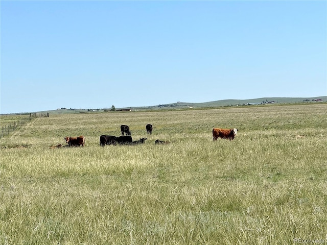 21457 Spencer Rd, Calhan, CO 80808 - photo 19