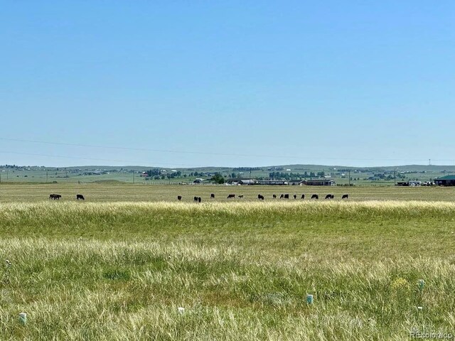21457 Spencer Rd, Calhan, CO 80808 - photo 21