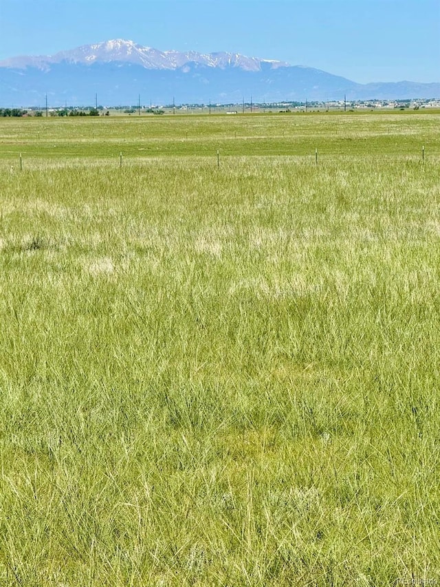21457 Spencer Rd, Calhan, CO 80808 - photo 22