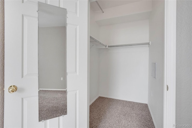 walk in closet with carpet flooring