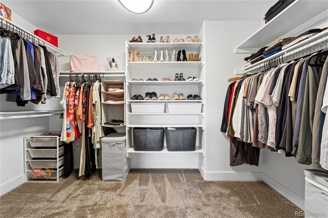 4589 Quandary Peak St, Brighton, CO 80601 - spacious closet with carpet floors