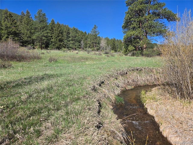 Foxton Rd, Conifer, CO 80433 - photo 1