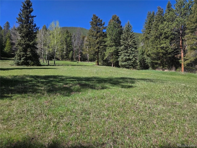 Foxton Rd, Conifer, CO 80433 - photo 2