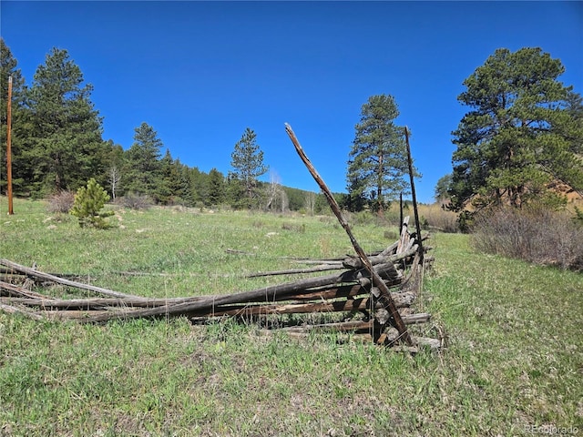 Foxton Rd, Conifer, CO 80433 - photo 4