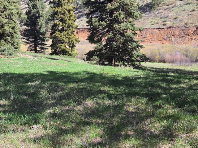 Foxton Rd, Conifer, CO 80433 - photo 5