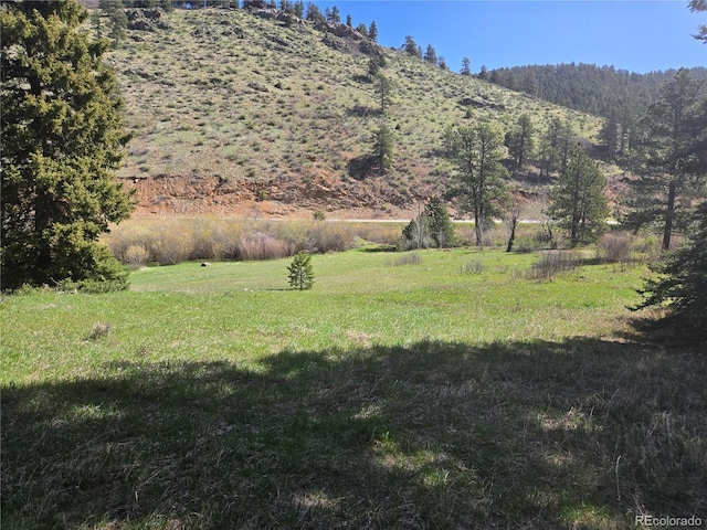 Foxton Rd, Conifer, CO 80433 - photo 6
