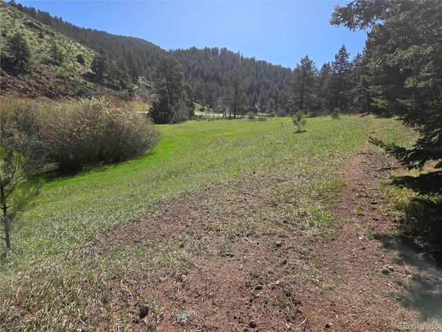 Foxton Rd, Conifer, CO 80433 - photo 8
