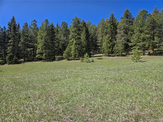 Foxton Rd, Conifer, CO 80433 - photo 9