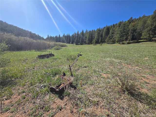 Foxton Rd, Conifer, CO 80433 - photo 10