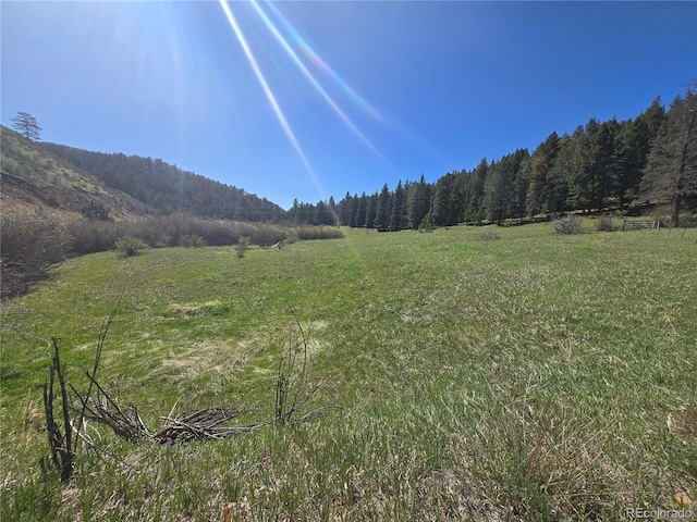 Foxton Rd, Conifer, CO 80433 - photo 11