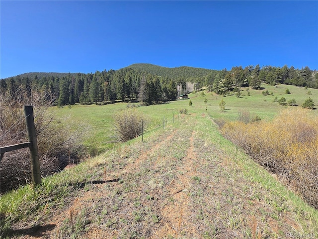 Foxton Rd, Conifer, CO 80433 - photo 12
