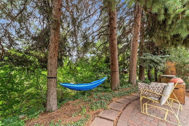 3129 S Sherman St, Englewood, CO 80113 - photo 29