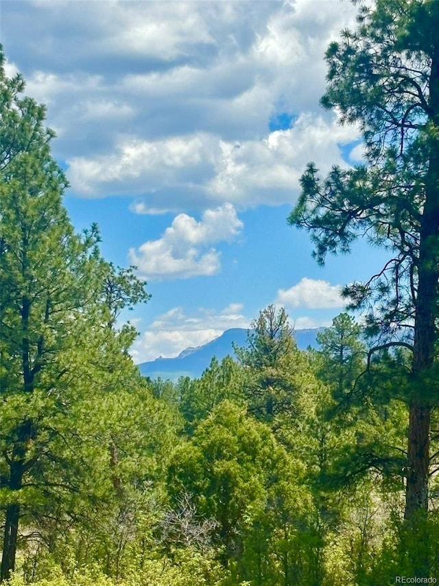 60 Fisher Canyon Dr, Ridgway, CO 81432 - photo 1