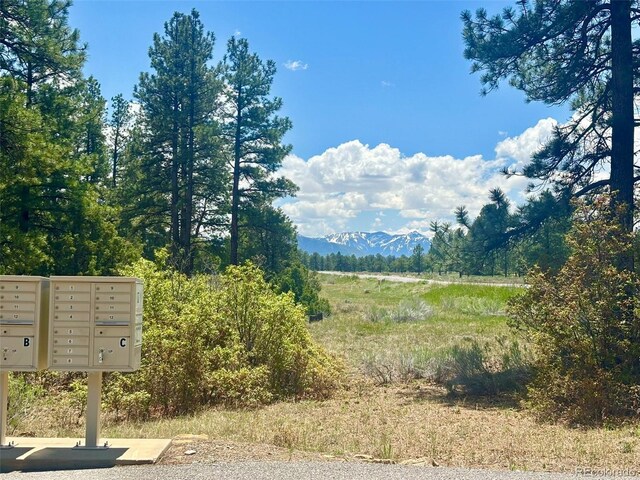 60 Fisher Canyon Dr, Ridgway, CO 81432 - photo 3