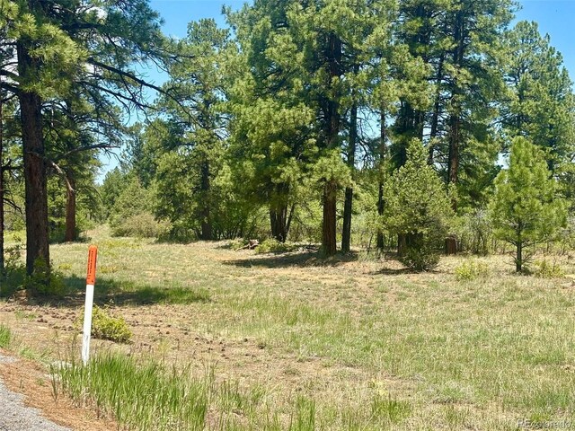 60 Fisher Canyon Dr, Ridgway, CO 81432 - photo 4