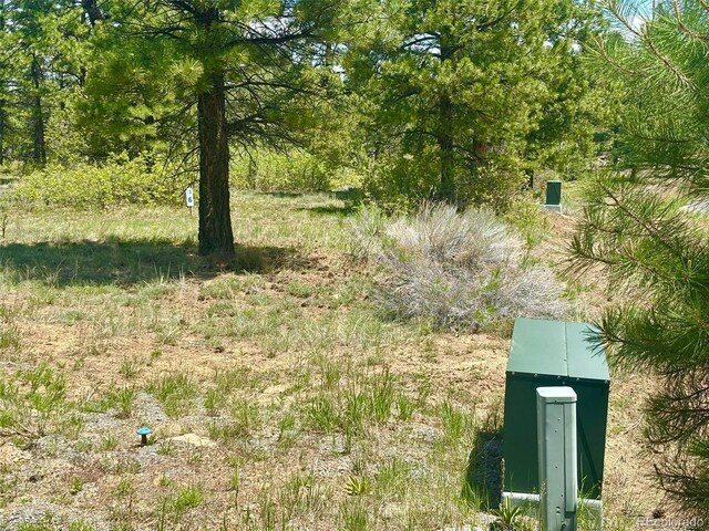 60 Fisher Canyon Dr, Ridgway, CO 81432 - photo 5