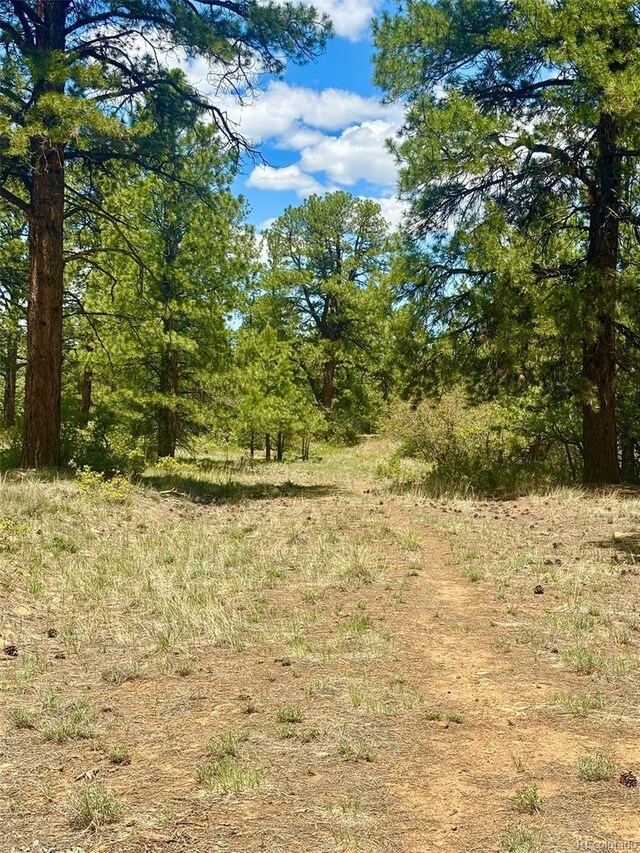 60 Fisher Canyon Dr, Ridgway, CO 81432 - photo 8
