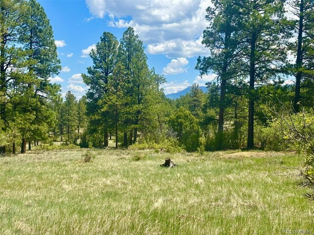 60 Fisher Canyon Dr, Ridgway, CO 81432 - photo 9