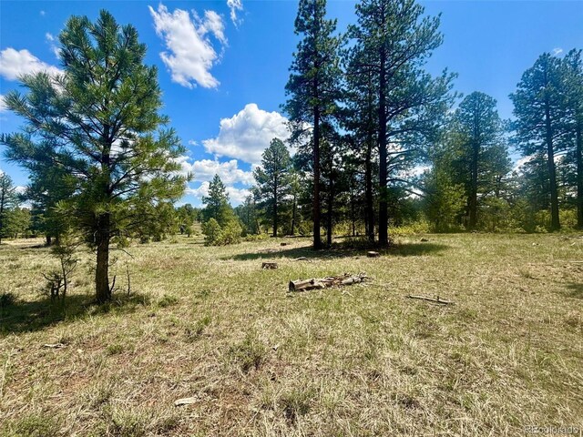 60 Fisher Canyon Dr, Ridgway, CO 81432 - photo 10