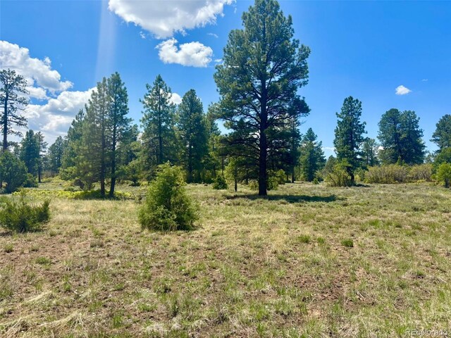 60 Fisher Canyon Dr, Ridgway, CO 81432 - photo 11