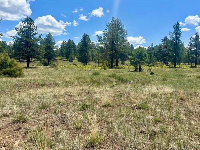 60 Fisher Canyon Dr, Ridgway, CO 81432 - photo 12