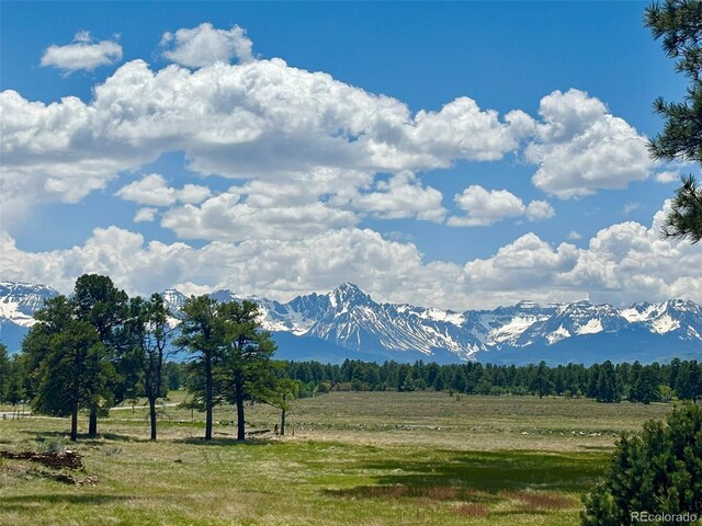 60 Fisher Canyon Dr, Ridgway, CO 81432 - photo 16