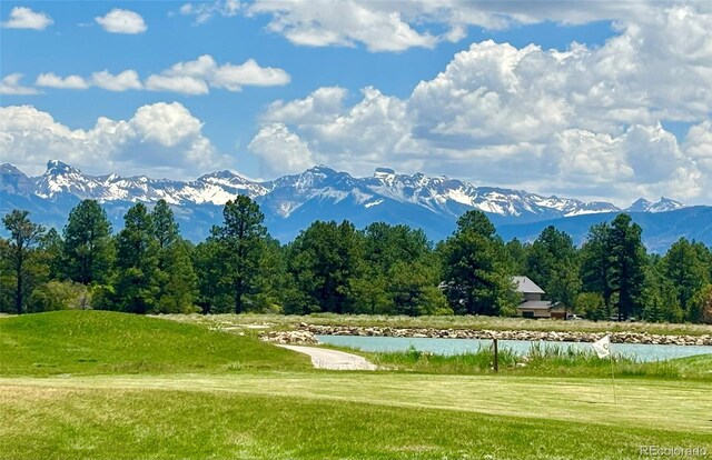60 Fisher Canyon Dr, Ridgway, CO 81432 - photo 19